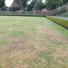 Image result for Plymouth (Sir Francis Drake) Bowling Club