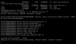 Image result for kernel panic snow leopard