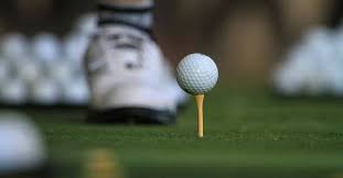 Image result for Palewell Pitch & Putt Golf Club