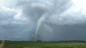 Image result for Tadcaster Tornadoes