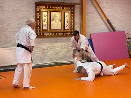 Image result for Mirfield Martial Arts Club