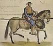 Cowboys 