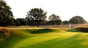 Image result for Royal Wimbledon Golf Club