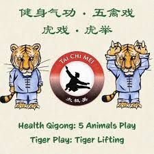 Image result for WUQI KUNG FU AND HEALTH SOCIETY