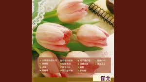 Image result for 2009早春