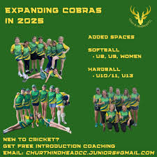 Image result for Churt Cricket Club