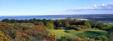 Image result for Scrabble Clubarborough Scrabble Club