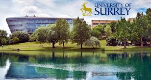 Image result for University Of Surrey
