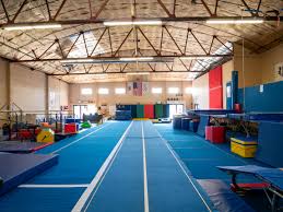 Image result for Fish trampoline and gymnastics club