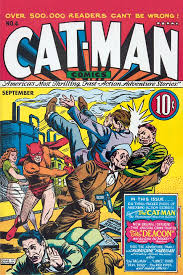 Image result for cat man