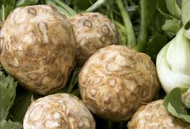 Image result for Sellerie