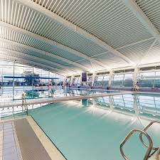 Image result for York University Pool Club