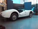 File:Protea car-002.jpg - Wikimedia Commons