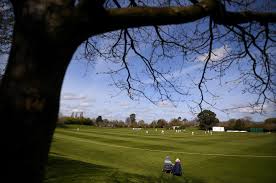 Image result for Taunton Vale Sports Club