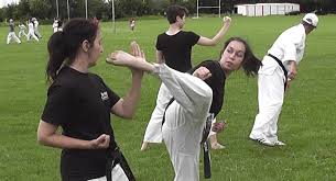 Image result for Bristol Karate Club