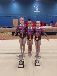 Image result for City Of Liverpool Gymnastics Club