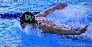 Image result for Maxwell Swimming Club