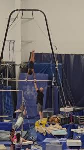 Image result for Plymouth Swallows Gc