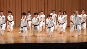 Image result for Edinburgh Karate do Shotokai