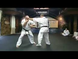Image result for Chikara Dojo Of Kyokushin Karate