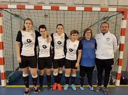Image result for Deva Handball Club