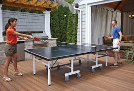 Image result for Table Tennis