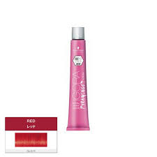 「レイラ・イブラヒム・ファーイザ」の画像検索結果