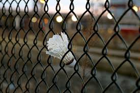 Image result for West End Park Badminton Club