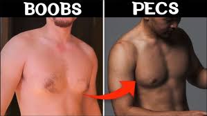 Image result for manboobs