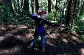 Image result for Havant and Hayling Bowmen Archery Club