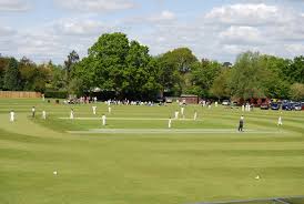 Image result for Marnhull Cricket Club