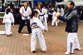 Image result for Ashford School Of Taekwondo