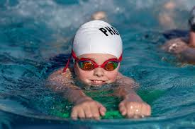 Image result for Elmbridge Phoenix Swimming Club