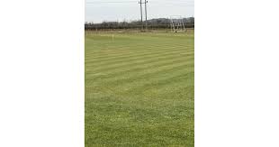 Image result for Calne Cricket Club