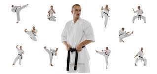 Image result for Precision Martial Arts