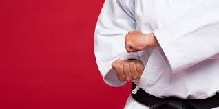 Image result for Taunton Karate academy
