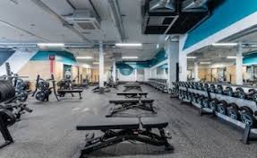 Image result for Crewe & Nantwich Gymnastics Club