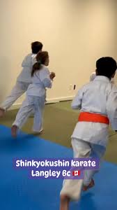 Image result for Kyokushinkai Karate Bradford