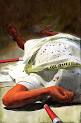 Daredevil: End of Days - Wikipedia, the free encyclopedia