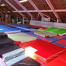 Image result for Phoenix Acro Gymnastics Club