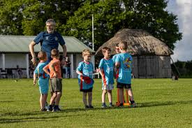 Image result for Chulmleigh & Mid Devon Cricket Club