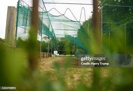 Image result for Taunton Deane Cricket Club