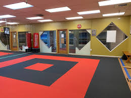Image result for Ryuko Dojo