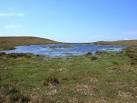 Boggy pool on the plateau between the Plynlimon tops - via Daymix