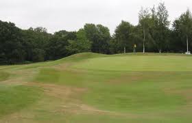 Image result for Vale Royal Abbey Golf Club