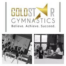Image result for Goldstar Active