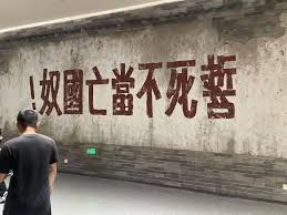 Image result for 國奴