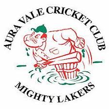 Image result for Vale Cricket Club