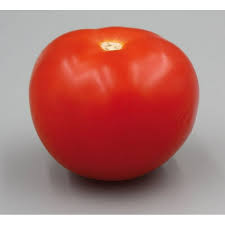 Afbeeldingsresultaat voor anna russian tomato