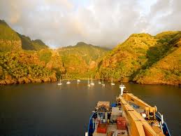 Attēlu rezultāti vaicājumam “Aranei exuvia”